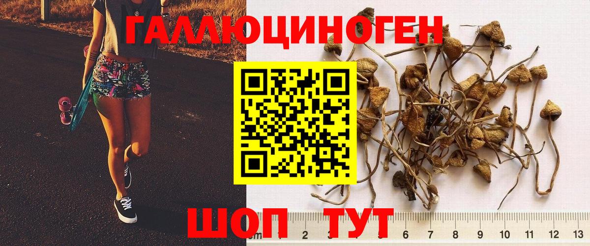 Галлюциногенные грибы мухоморы  Галлюциногенные грибы Magic Shrooms  Карталы  Вход с VPN 