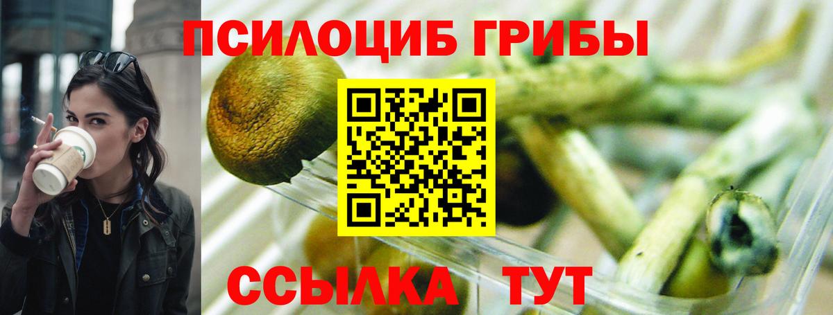 Псилоцибиновые грибы прущие грибы Карталы
